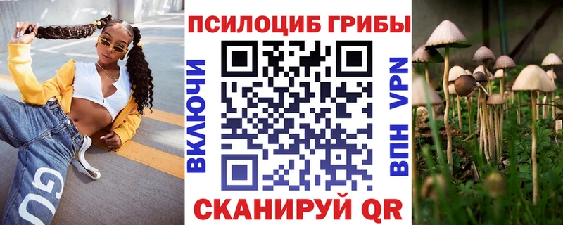 где продают   omg ONION  Псилоцибиновые грибы Psilocybe  Адыгейск 